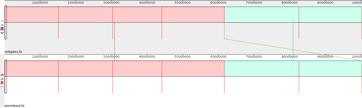 Pairwise alignment of genomes